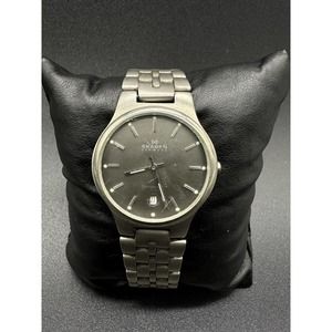 SKAGEN Denmark 105LTX All Titanium Calendar Quartz Watch w/Brand New Battery